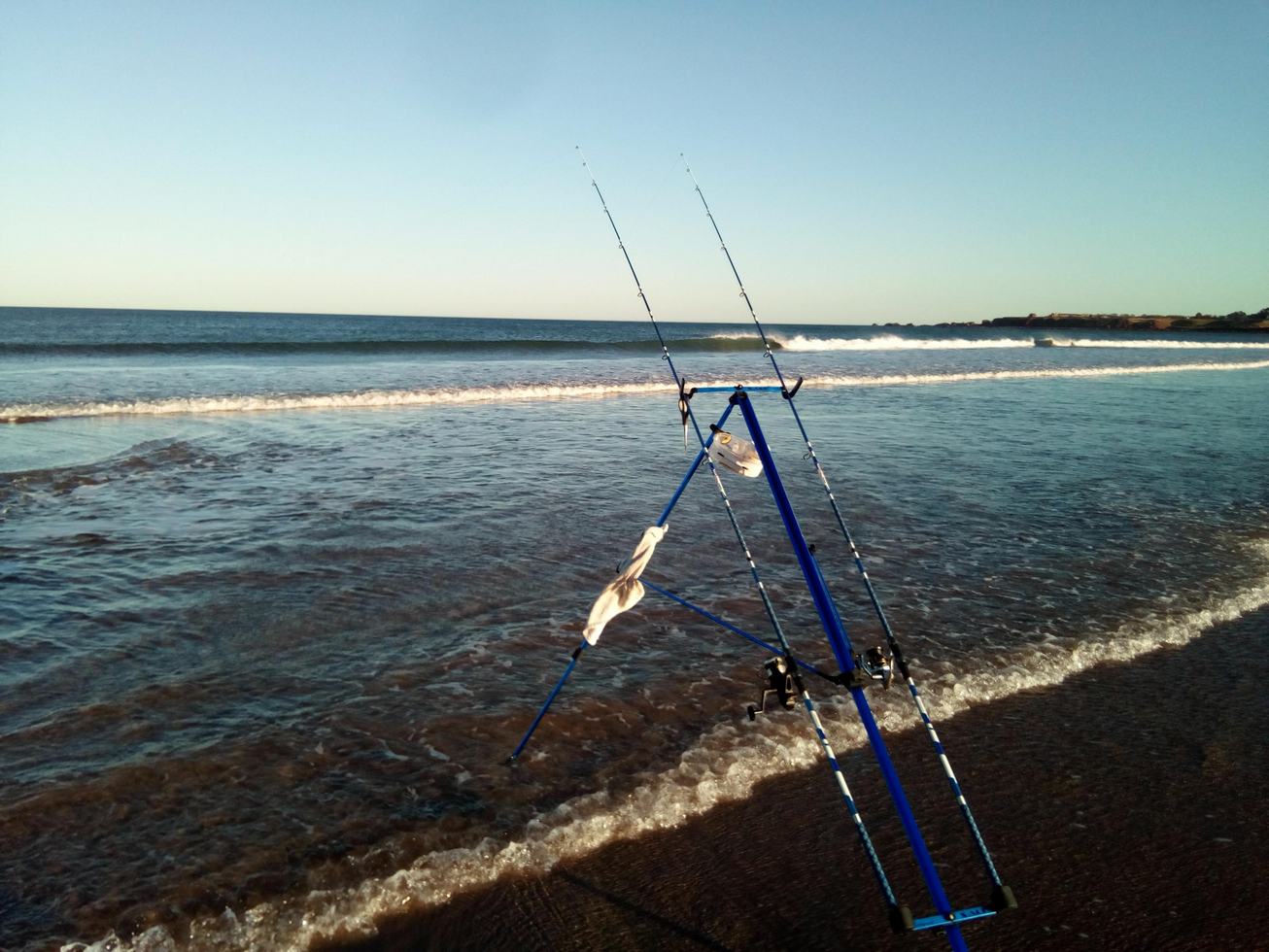 Beginner's guide to cod fishing from the shore and beach — Sea Angler