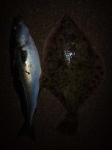 flounder and coley night-time image