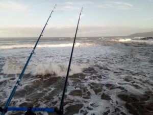 swell with surf rods image