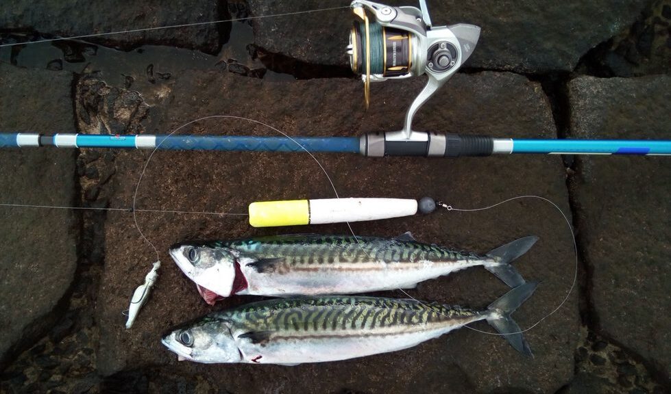 2 mackerel float and rod image