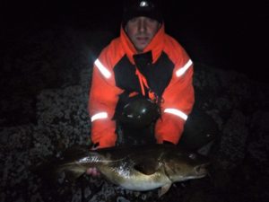 big cod at night image